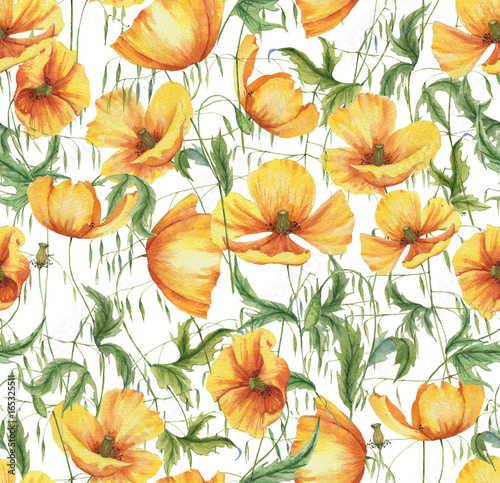 Hand-drawn watercolor floral seamless pattern with the yellow poppy flowers and grass on the white background in vintage style. Natural and vibrant repeated print for textile  wallpaper. Wild blossom