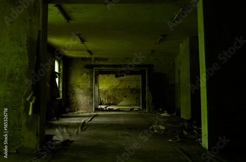 Large empty green room of the abandoned building with a peel wallpapers 