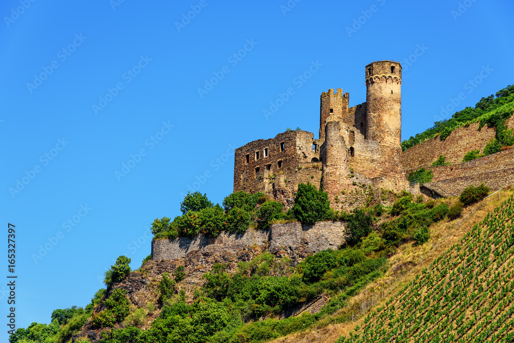 Burg Ehrenfels Ruine Hangburg Rhein Rheingau Taunus