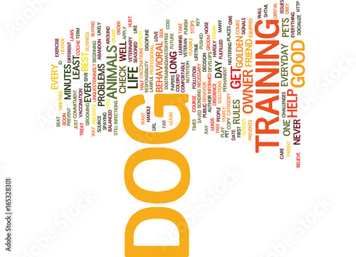 GOLDEN RULES FOR EVERY DOG OWNER Text Background Word Cloud Concept