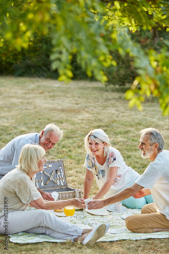 Group of seniors having fun at a picnic
