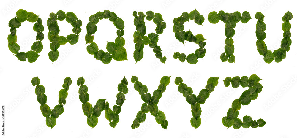 Letters from leaves lime Letters from leaves lime