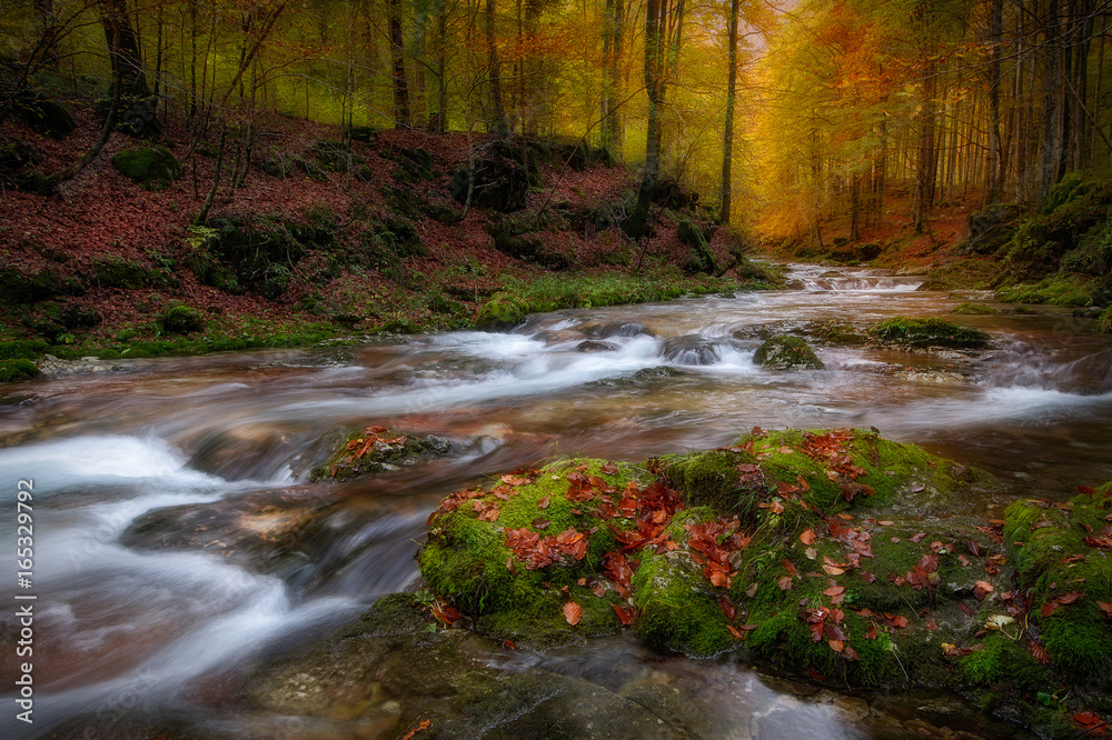 Torrente Arzino, Friuli Venezia Giulia, Italia