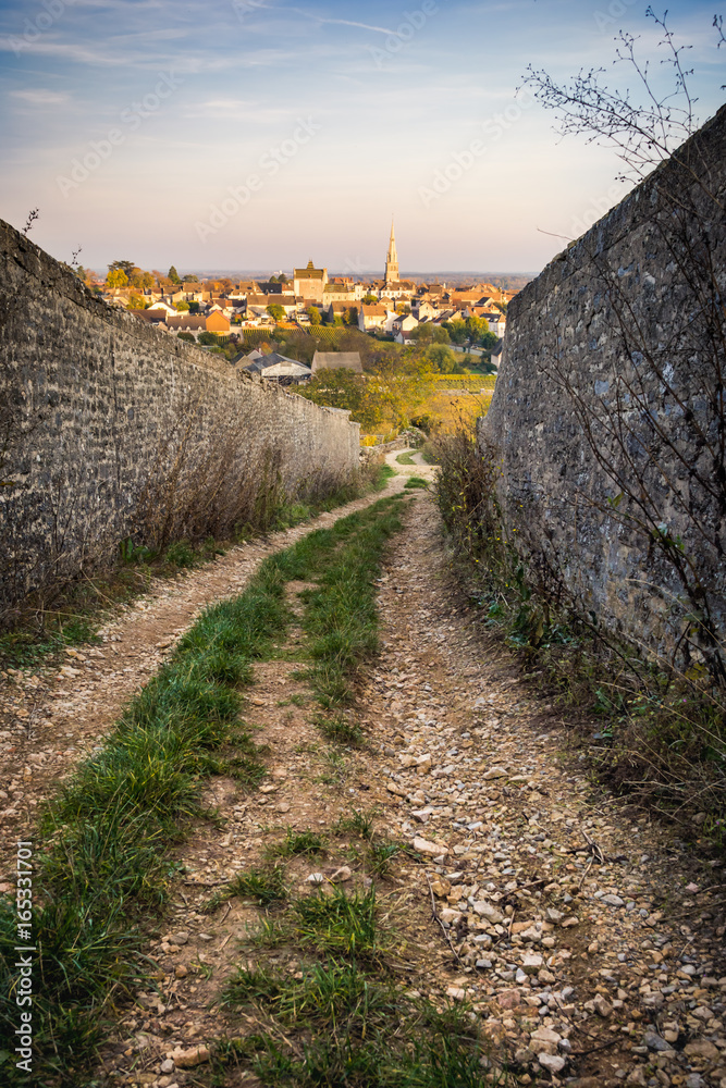 murs dans le vignoble de Bourgogne