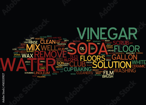 FRUGAL FLOOR CLEANERS Text Background Word Cloud Concept