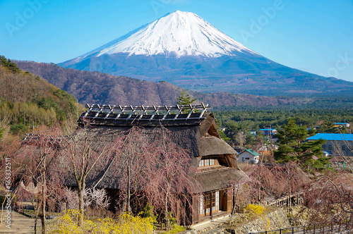 Public place : Vintage Japanease style house and Mt. Fuji. Saiko Iyashi no Sato Nenba village, Yamanashi, Japan, during spring season with some sakura.