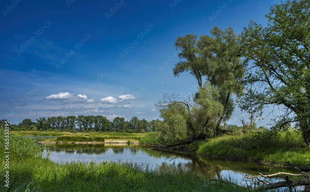 Die Oder im Brandenburger Land