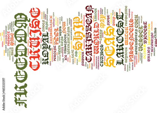 FREEDOM OF THE SEAS THE BIGGEST CRUISE SHIP EVER Text Background Word Cloud Concept