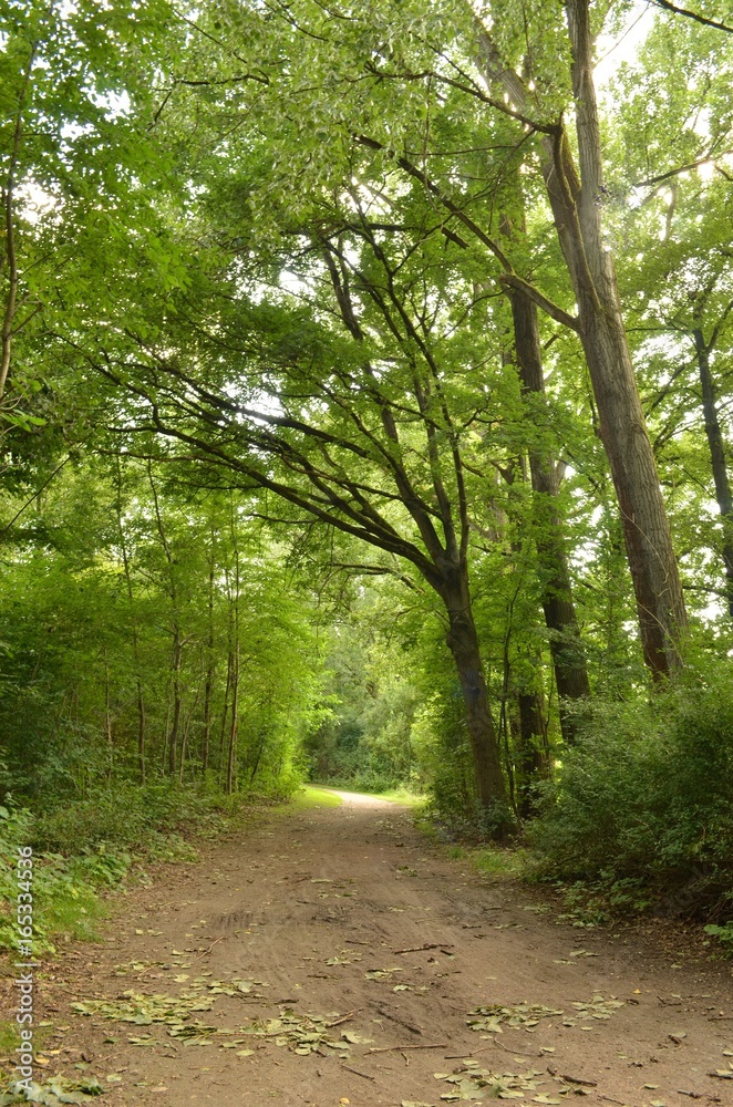 Park in Heepen, Bielefeld, Westphalia, Germany Park in Heepen, Bielefeld, Westphalia, Germany