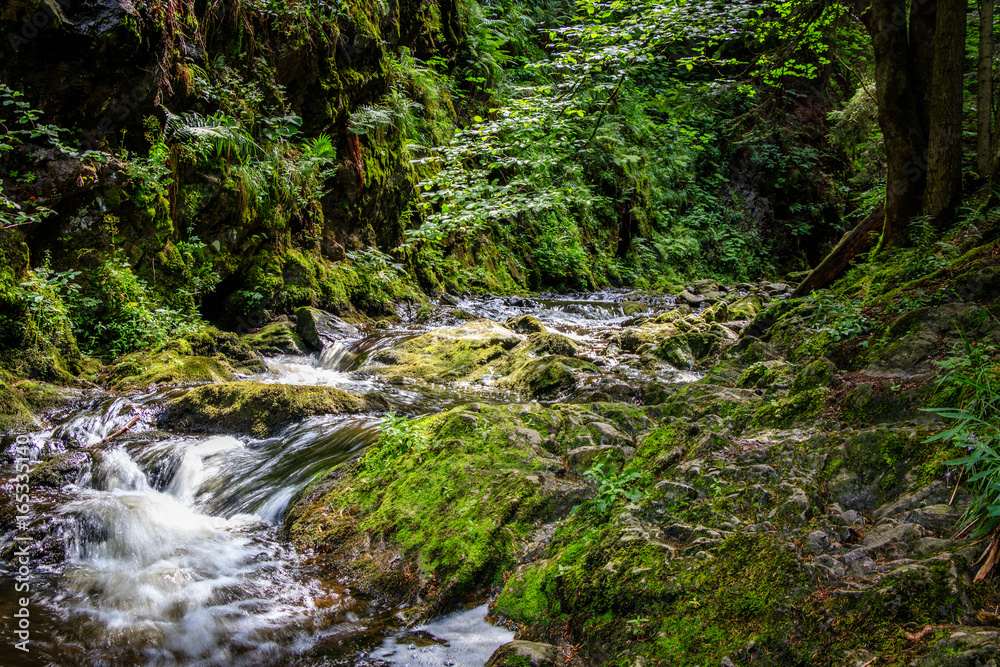 Ravenna Schlucht, nearby Freiburg im Breisgau in the black forest. You can find the valley when you drive from Hinterzarten to Freiburg.