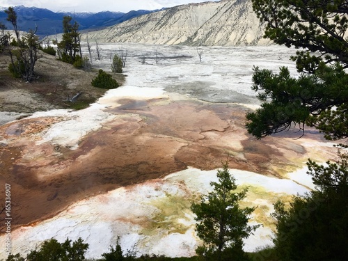 Yellowstone