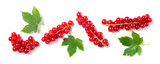 Ripe and juicy red currant with leaves isolated on white background, top view