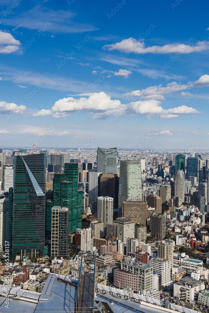 Fototapeta premium JAPAN, TOKYO-FEBRUARY 14, 2017: Tokyo with skyline in Tokyo Japan.