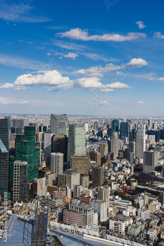 JAPAN  TOKYO-FEBRUARY 14  2017  Tokyo with skyline in Tokyo Japan.