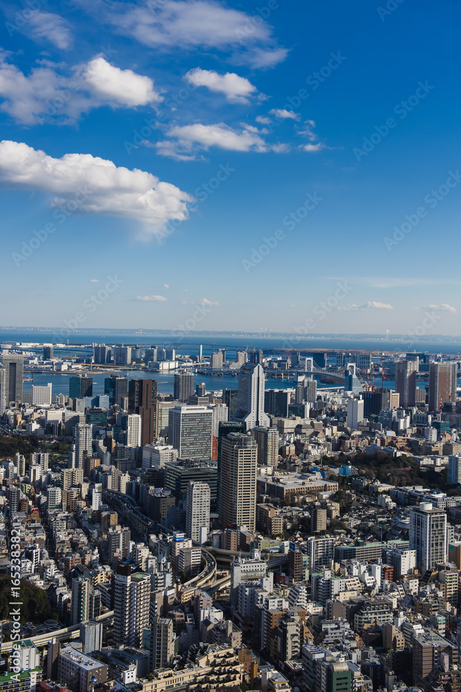 JAPAN, TOKYO-FEBRUARY 14, 2017: Cyty with skyline in Tokyo Japan.