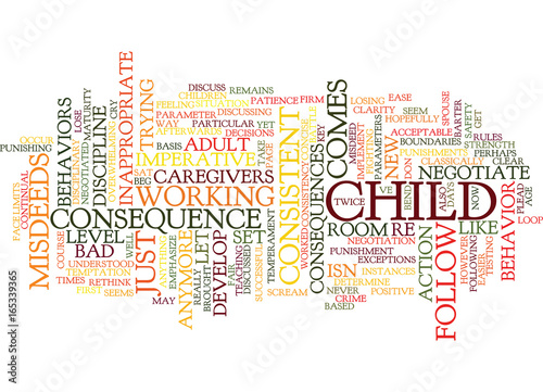 FOLLOW THORUGH IS THE KEY TO SUCCESSFUL DISCIPLINE Text Background Word Cloud Concept