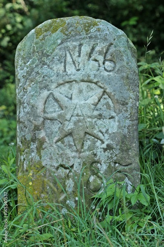  Historischer Grenzstein von 1785 an der ehemaligen Landesgrenze zwischen dem Fürstentum Waldeck und dem Hochstift Paderborn 