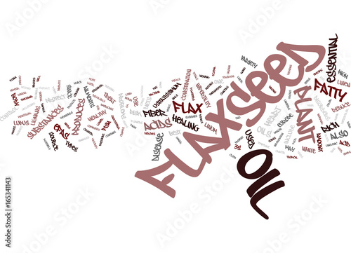 FLAXSEED Text Background Word Cloud Concept