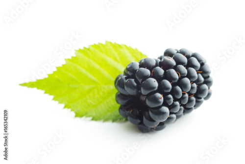 Tasty ripe blackberry. photo