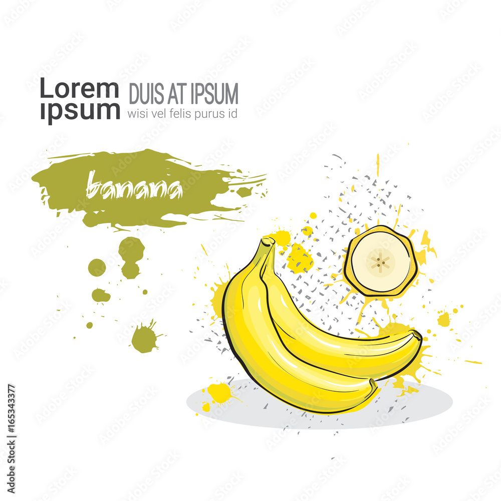 Banana Hand Drawn Watercolor Fruit On White Background With Copy Space Vector Illustration