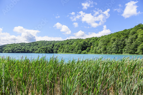 National Park Plitvice Lakes. Croatia.