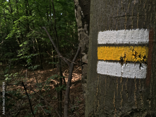 Yellow tourist mark on a tree. Great for your tourism, hiking and outdoor projects