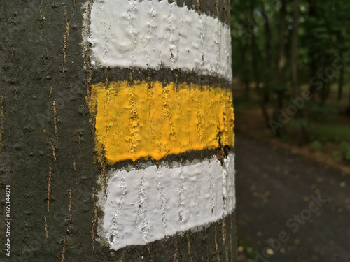 Yellow tourist mark on a tree. Great for your tourism, hiking and outdoor projects