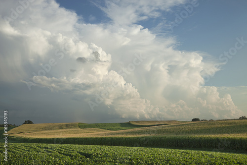 Corn and soybean fields below dramatic clouds