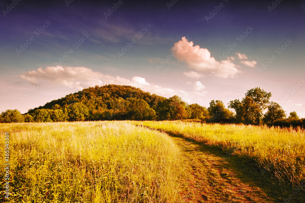 Obraz premium Field path leading to the hill to Radobyl hill in protected landscape areas Ceske Stredohori in czech summer landscape at evening