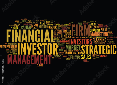 FINANCIAL INVESTOR STRATEGIC INVESTOR Text Background Word Cloud Concept