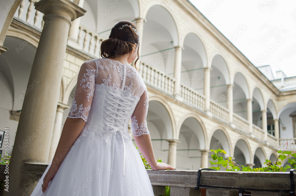 Obraz premium Bride in wedding dress