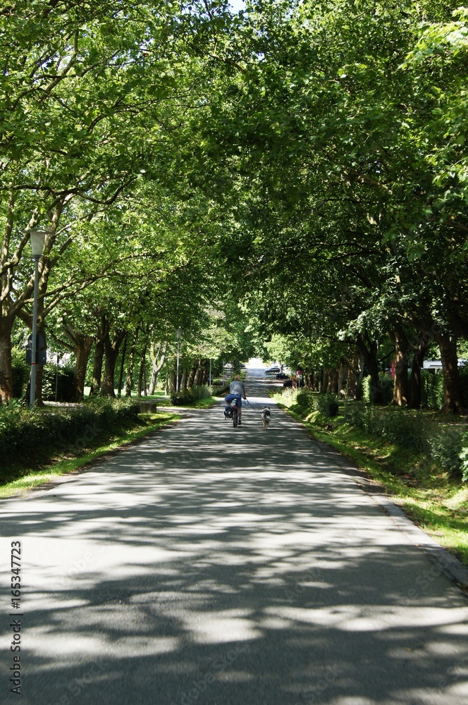 Obraz premium Fahrradfahrer mit Hund