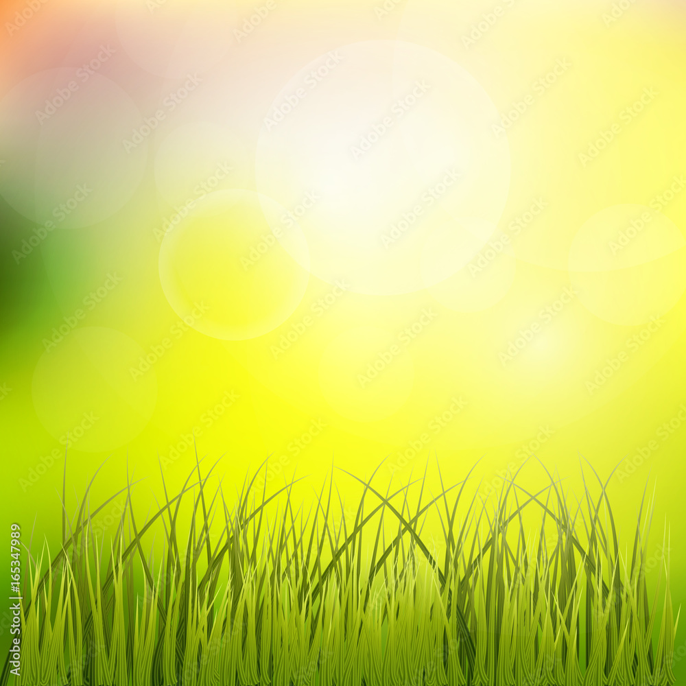 soft light abstract background. Summer Background. Fresh green spring meadow grass under the blue sky decorative background poster print