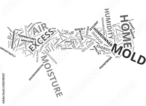 EXCESS HUMIDITY LEADS TO MOLD Text Background Word Cloud Concept