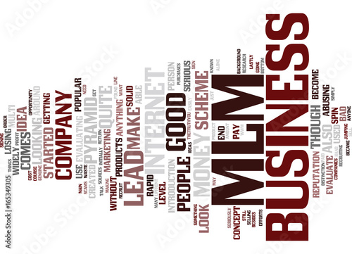 EVALUATE A MLM BUSINESS LEAD Text Background Word Cloud Concept