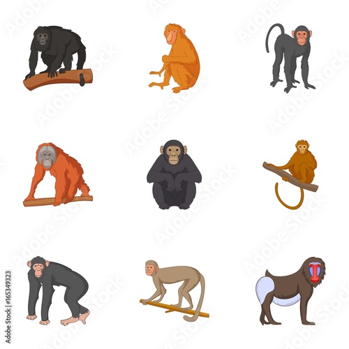 Different kinds of monkeys icons set