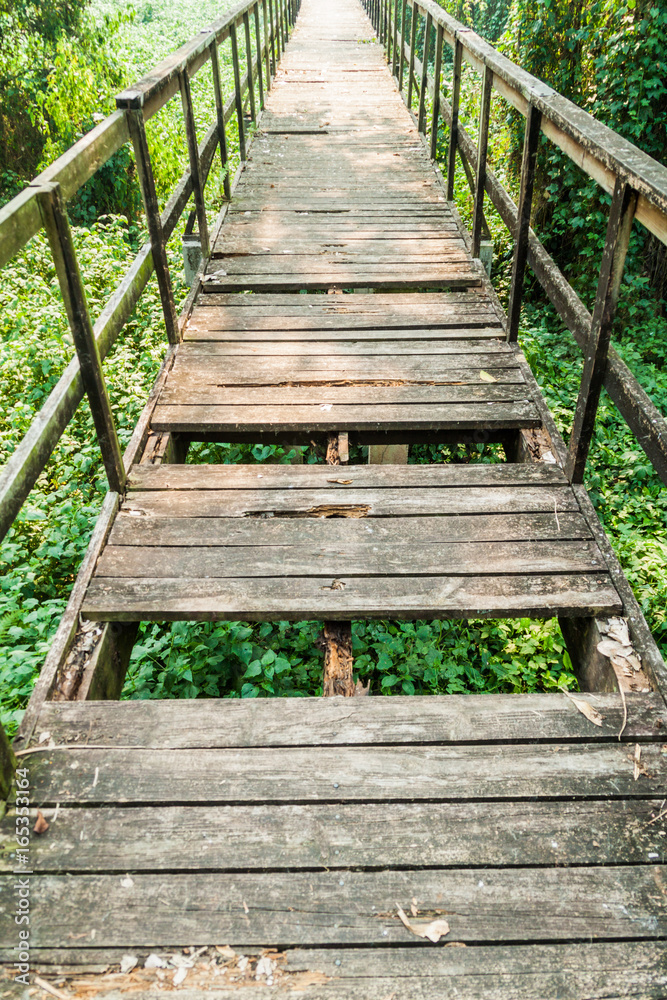 Obraz premium Damaged boardwalk in eco-archaeological park Los Naranjos, Honduras