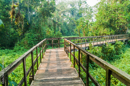 Boardwalk in eco-archaeological park Los Naranjos, Honduras