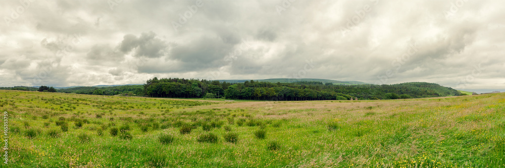 panoramic view of summer countryside,Northern Ireland