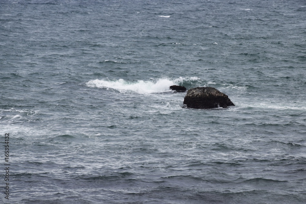 Fototapeta premium 砕ける波 / 湘南海岸