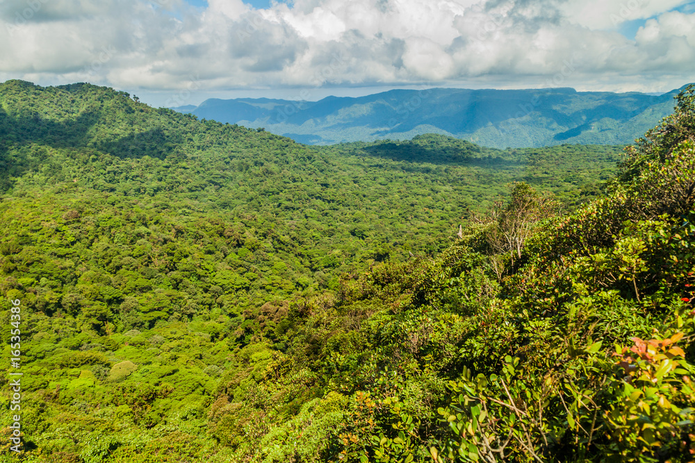 Cloud forest covering Reserva Biologica Bosque Nuboso Monteverde, Costa Rica
