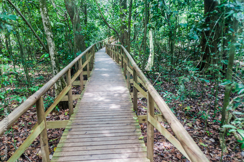 Boardwalk in National Park Manuel Antonio, Costa Rica