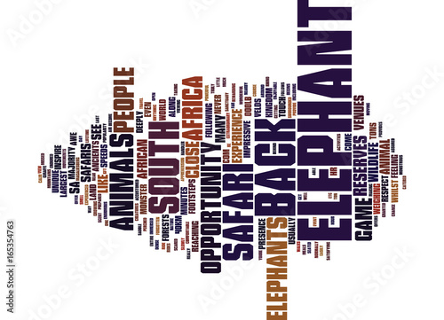 ELEPHANT BACK SAFARIS IN SOUTH AFRICA Text Background Word Cloud Concept