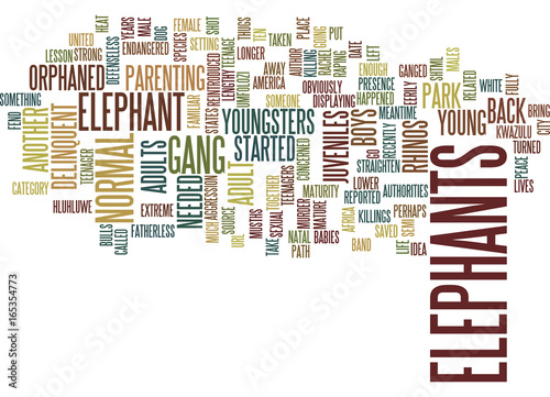 ELEPHANTS AND TEENAGERS Text Background Word Cloud Concept photo