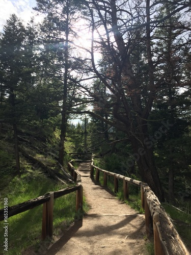 Yellowstone