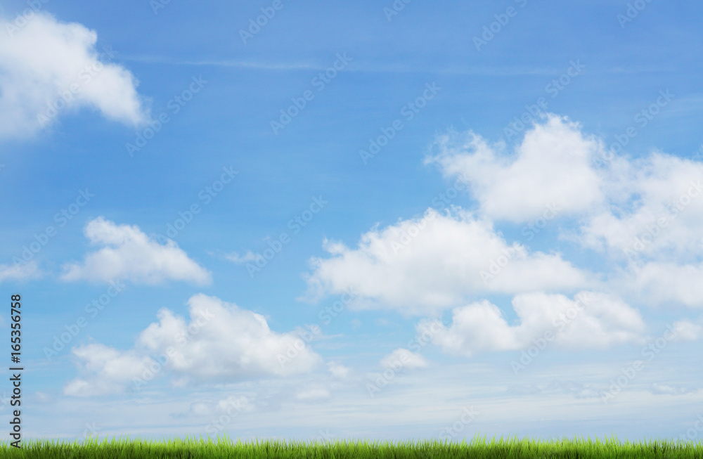 light blue sky and green meadow 3d rendering