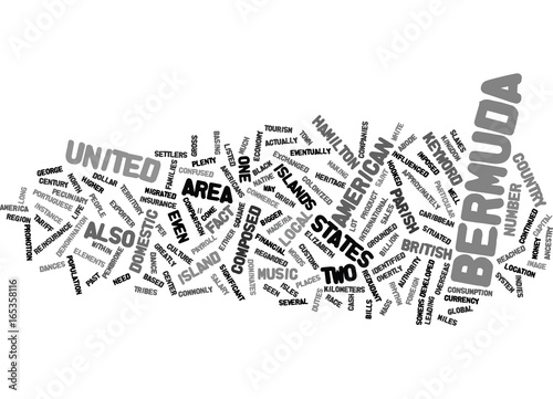 BERN Text Background Word Cloud Concept