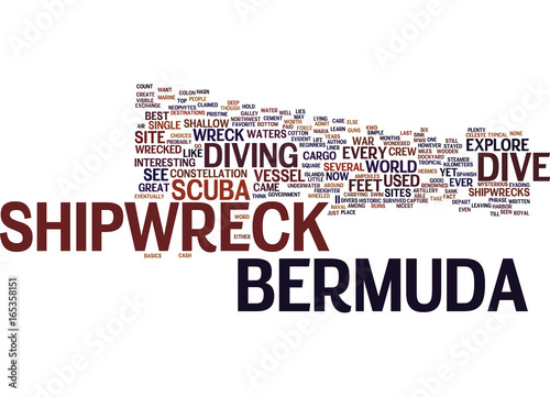 BERMUDA SHORTS Text Background Word Cloud Concept