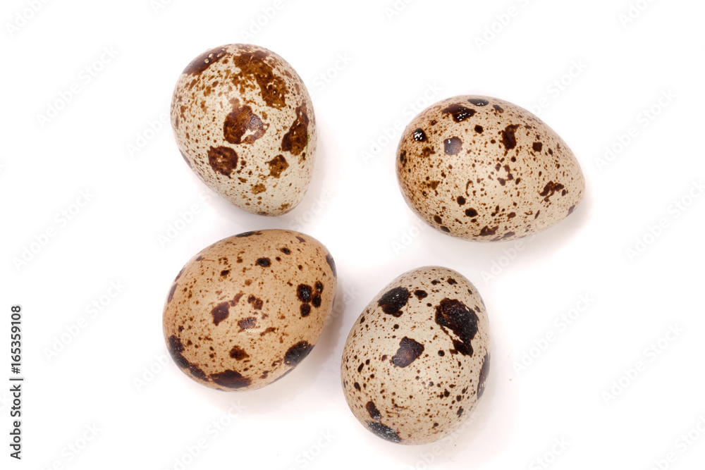 four quail eggs isolated on white background. Top view four quail eggs isolated on white background. Top view