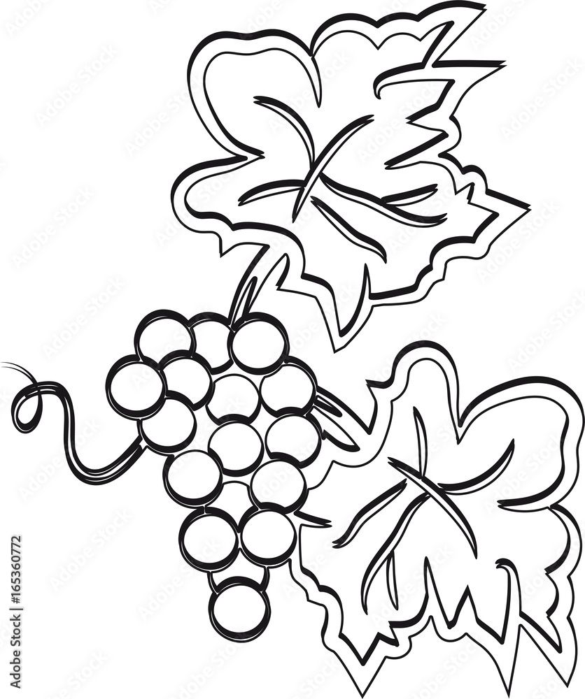 Fototapeta premium wein weintrauben stilisiert